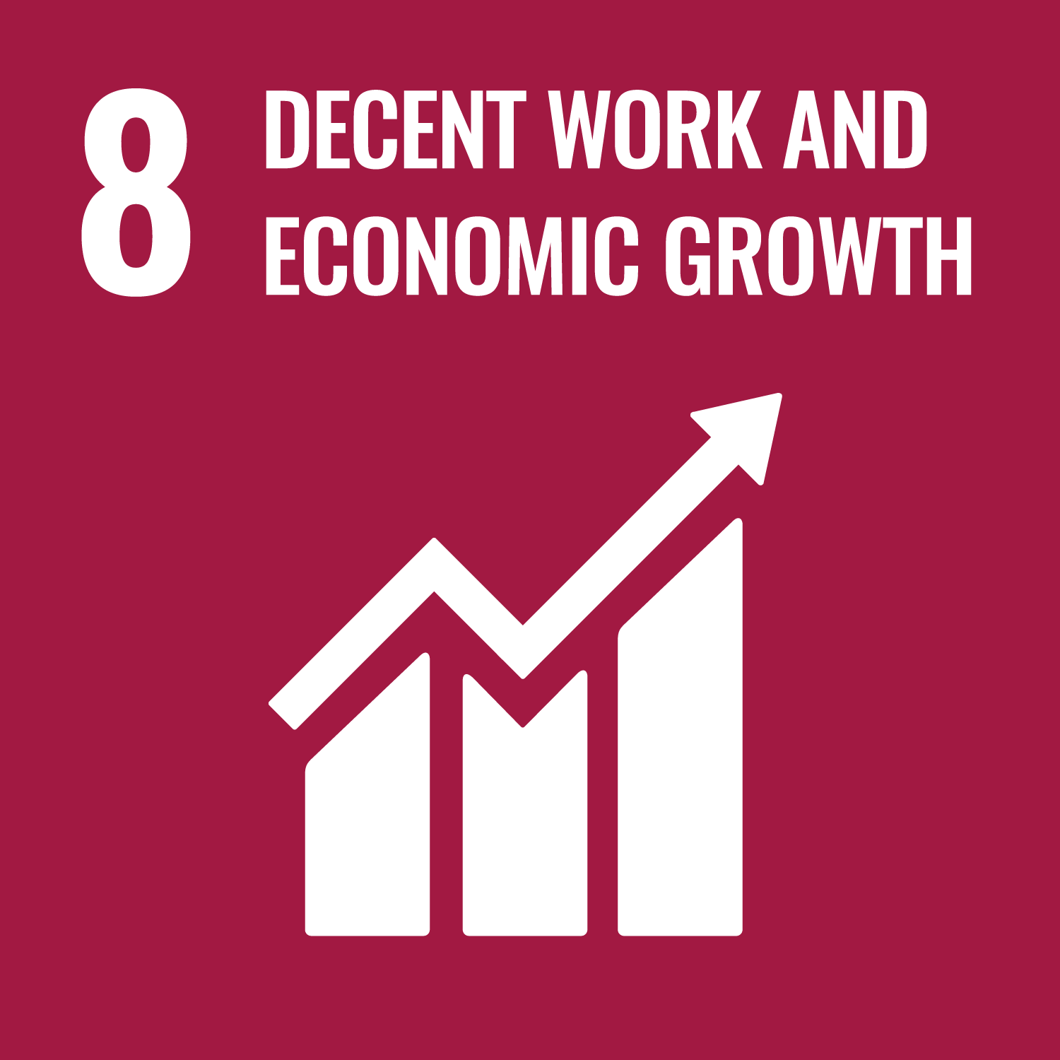#8 Decent Work and Economic Growth