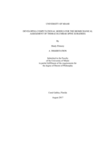 Developing Computational Models for the Biomechanical Assessment of Thoracolumbar Spine Surgeries
