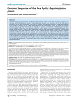 Genome Sequence of the Pea Aphid Acyrthosiphon pisum